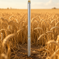 Excellente pompe submersible monophasée 4 pouces en acier inoxydable 304 pour puits profond, débit de 16 m³/h, 11 étages, hauteur de refoulement de 65 m, pour l'irrigation agricole