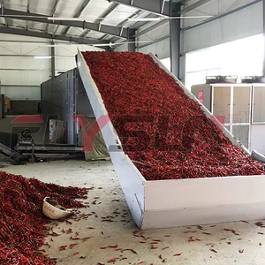 Équipement de séchage entièrement automatique pour piments Habanero, Chili mexicain, <span class=keywords><strong>Serrano</strong></span>, Cayenne, sécheuse industrielle à bande maillée pour piments - Product Image 2