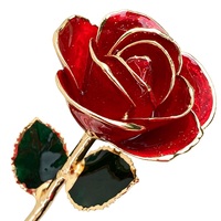 Mawar Merah Asli Berlapis Emas 24K Dengan Dudukan Akrilik, Bunga Mawar Alami Awet Selamanya, Hadiah Valentine, Hari Ibu, Pernikahan
