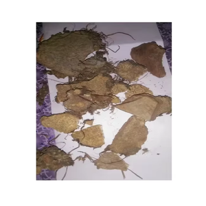 Producto de calidad superior Varahi Kand Powder Plant Extract Product Varahi Kand Wild-Cultivado Powder en bolsa de embalaje - Product Image 3