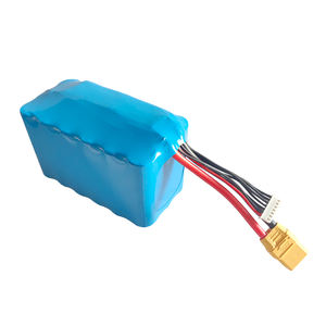 맞춤형 몰리셀 P42A P45B/lishen LR21700LA 50S 6S3P/6S4P 배터리 팩 - Product Image 4