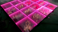 Double miroir magnétique de fleurs 3D, piste de danse Led Portable en gros
