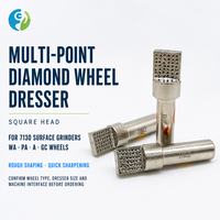 Râpeuse à diamant à tête carrée pour rectifieuse cylindrique sans centre, pour le dressage grossier, l'affûtage et l'élimination des blocages