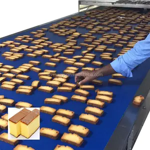 HYDG-800 1 T/H Gâteau en tranches industriel entièrement automatique/Machine de fabrication de biscuits à gâteau sec/Prix de la ligne de production