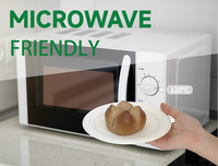 Assiette en bagasse biodégradable et écologique personnalisée de 6 pouces, 7 pouces, 8 pouces, 9 pouces, 10 pouces, 3 compartiments, jetable, compatible micro-ondes