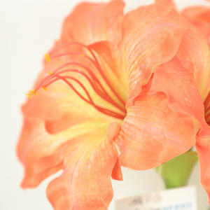 Bushyจําลองบ้านผ้าไหมนุ่มFauxดอกไม้การถ่ายภาพPropsตกแต่งห้องนั่งเล่นปลอม<span class=keywords><strong>Clivia</strong></span> <span class=keywords><strong>Miniata</strong></span>-149 - Product Image 5