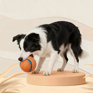 Üreticilerden Doğrudan Satış Çevre Dostu Yüksek Esneklikli Dayanıklı Yüzen Su Lastiği Evcil Hayvan Topu Oyuncakları Aktif Köpek Oyunu İçin - Product Image 3