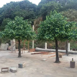 Árvore de natal para decoração, venda quente de árvores internas de fucus árvore de natal