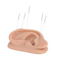 Modelo de Oído Humano Ampliado de Silicona, Modelo de Práctica de Acupuntura para Enseñanza y Educación Biológica