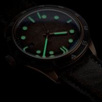 Montre de plongée super lumineuse de luxe personnalisée verre saphir résistant à l'eau 150M montre-bracelet montres automatiques avec boîtier en bronze