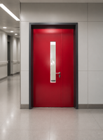 Pintu Ayun Baja Modern 1300*2100 Satu Daun Setengah dengan Panel Vertikal untuk Rumah Sakit, Medis, Ruang Bersih, Laboratorium