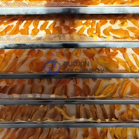 Fabrieksdirecte verkoop grote capaciteit automatische roestvrijstalen warmtepompdroger fruitdroger mango droogmachine professioneel