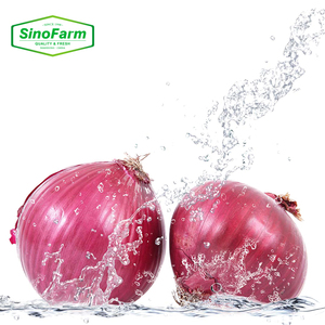 Fresh Red Onion/Onions Exporter