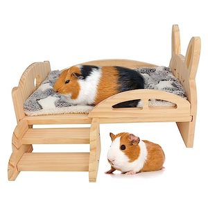 <span class=keywords><strong>Lit</strong></span> en bois <span class=keywords><strong>pour</strong></span> cochon d'Inde avec escalier et tapis, coussin confortable <span class=keywords><strong>pour</strong></span> petits animaux, abri détachable <span class=keywords><strong>pour</strong></span> petits animaux de compagnie, habitat <span class=keywords><strong>pour</strong></span> cochon d'Inde - Product Image 1