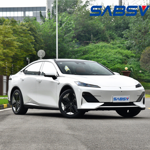 Migliore vendita blu profondo SL03 <span class=keywords><strong>auto</strong></span> elettrica a tre oa cinque porte Rave recensioni nuovo veicolo ad alta velocità - Product Image 5