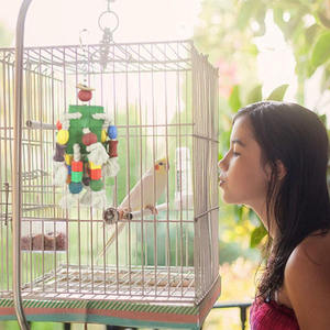 Natural Wood Bird <strong>Toys</strong> Multicolored Wooden Tearing <strong>Parrot</strong> Block <strong>Parrot</strong> <strong>Toys</strong> for African <strong>Grey</strong> <strong>Parrot</strong> - Product Image 5