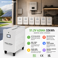 BASENGREEN EU 51.2v 48V 300Ah 628ah Lityum Pil Paketi 32kwh 30kwh Güneş Enerjisi Sistemi 51.2v LiFePO4 Enerji Depolama Pili