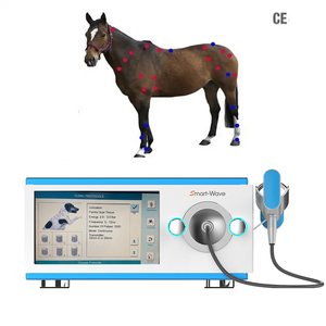 Thérapie extracorporelle par ondes de choc ESWT pour les applications de médecine vétérinaire de cheval - Product Image 1