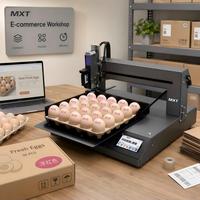 Imprimante jet d'encre automatique de bureau MXT Stable pour l'impression en lot continu de 15 kg, pour le marquage de la date et du logo des œufs de ferme
