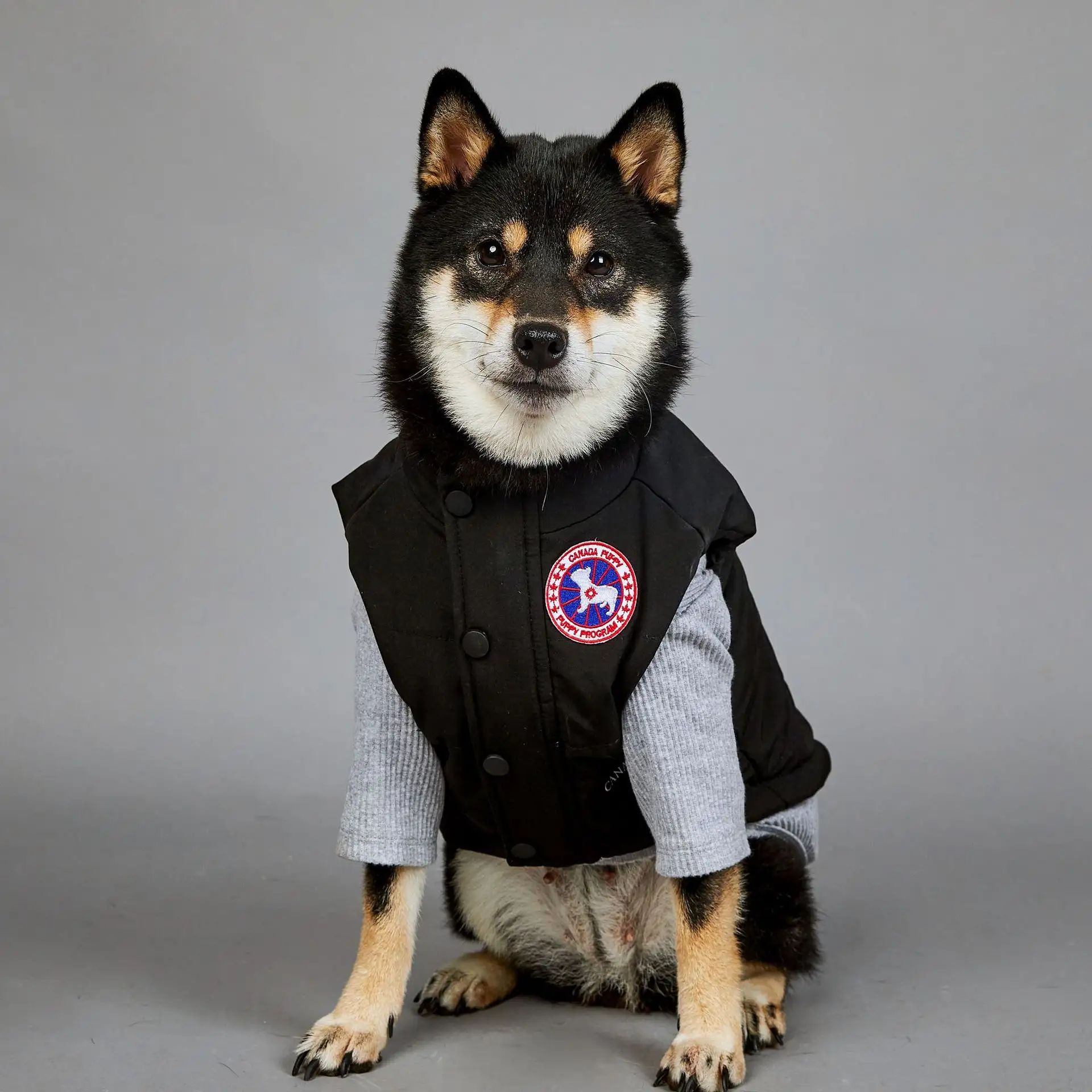 Dog Jacket Dogs Windbreaker Fashion Jacket Custom logo dog clothes Winter warm pet vest padded jacket