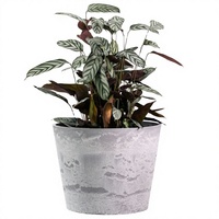 Pot Bunga Plastik Bulat Modern dengan Alas, Ringan, Tahan Lama, Berwarna-warni, untuk Tanaman Indoor & Outdoor, Cocok untuk Berkebun di Rumah