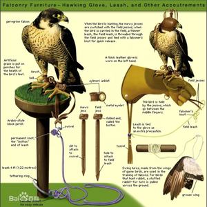 15mm di spessore erba artificiale per falconeria posatoi blocco Astroturf erba artificiale falconeria per il Peru - Product Image 6