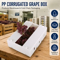 Boîte à raisins en plastique ondulé PP, pliable, empilable, réutilisable, emballage de transport de fruits frais, bac, OEM