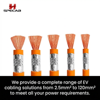 Câble de charge en cuivre DC |   Câble pour VE 1500V avec isolation XLPE 1-150mm blindé en option, usage industriel, indice de protection IP67