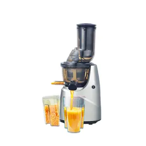 2021 newest gold Household Mini Electric Fruits And Vegetable Purifier Disinfection Machine