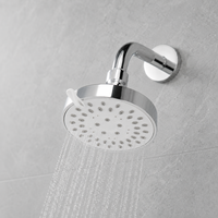 Douche suspendue professionnelle avec plaque de fixation en acier inoxydable et bras dissimulé, compatible avec les projets de toilettes publiques