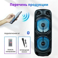Altavoz de Karaoke OEM ODM Lotus Radiant Mesh con Luz LED Azul Fría, Altavoz Portátil con Micrófono con Cable para Fiestas Familiares en Interiores