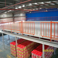 Usine de fabrication personnalisée Mezzanine Floor Racking System Plate-forme industrielle en acier