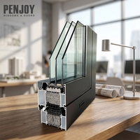 Ventana de Aluminio con Rotura de Puente Térmico Penjoy, Ahorro Energético, Triple Acristalamiento, Vidrio Templado Low-E, Certificación Energy Star para Climas Fríos, Tamaño Personalizado