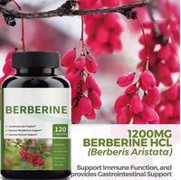 Comprimés de berbérine HCl pure naturelle 1000mg, racine de cannelle de Ceylan - Complément alimentaire pour adultes pour le soutien immunitaire et la perte de poids, naturel