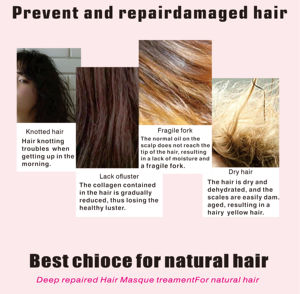 Crème Marocaine OEM 250ml Masque Capillaire Herbal Nourrissant Bio pour Cheveux Secs Volume Lisse Brillant Prévention Chute de Cheveux MOQ - Product Image 5