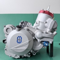 Moteur à deux temps refroidi par eau de 300 cm3 adapté à la KTM300CC monocylindre, puissance maximale de 36 kW, accessoires de moteur pour moto tout-terrain