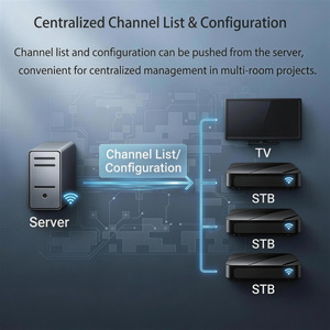 Linux IP STB OEM Menú de Inicio Personalizado <span class=keywords><strong>URL</strong></span> Preestablecida H.265 HEVC HD+AV + USB2.0 (Operadores) - ERI-IPTV004 DDR3 1Gb Flash 16MB - Product Image 3