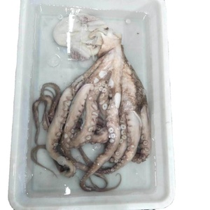 Obtener <span class=keywords><strong>precio</strong></span> ahora <span class=keywords><strong>pulpo</strong></span> gigante <span class=keywords><strong>congelado</strong></span> en buena calidad - Product Image 1