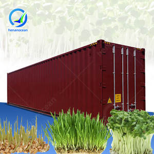 Máquina Automatizada OCEAN para Germinar Brotes de Frijol, Contenedor para Brotes, Sistema de Cultivo de Forraje - Product Image 1