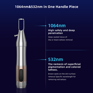 Laser Picosecondo per Rimozione Tatuaggi e Smagliature, Picolaser per Rimozione Tatuaggi, <span class=keywords><strong>Trattamento</strong></span> Efficace della Pelle con Holly Peel Wood, Pico Laser - Product Image 6