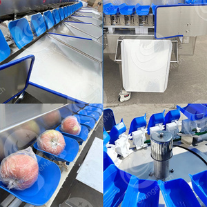 ORME Machine à trier les fruits de mer Machine à trier et à peser les écrevisses - Product Image 2
