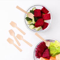 Cuillère jetable pour gâteau et glace, cuillère en bambou moderne, biodégradable et écologique