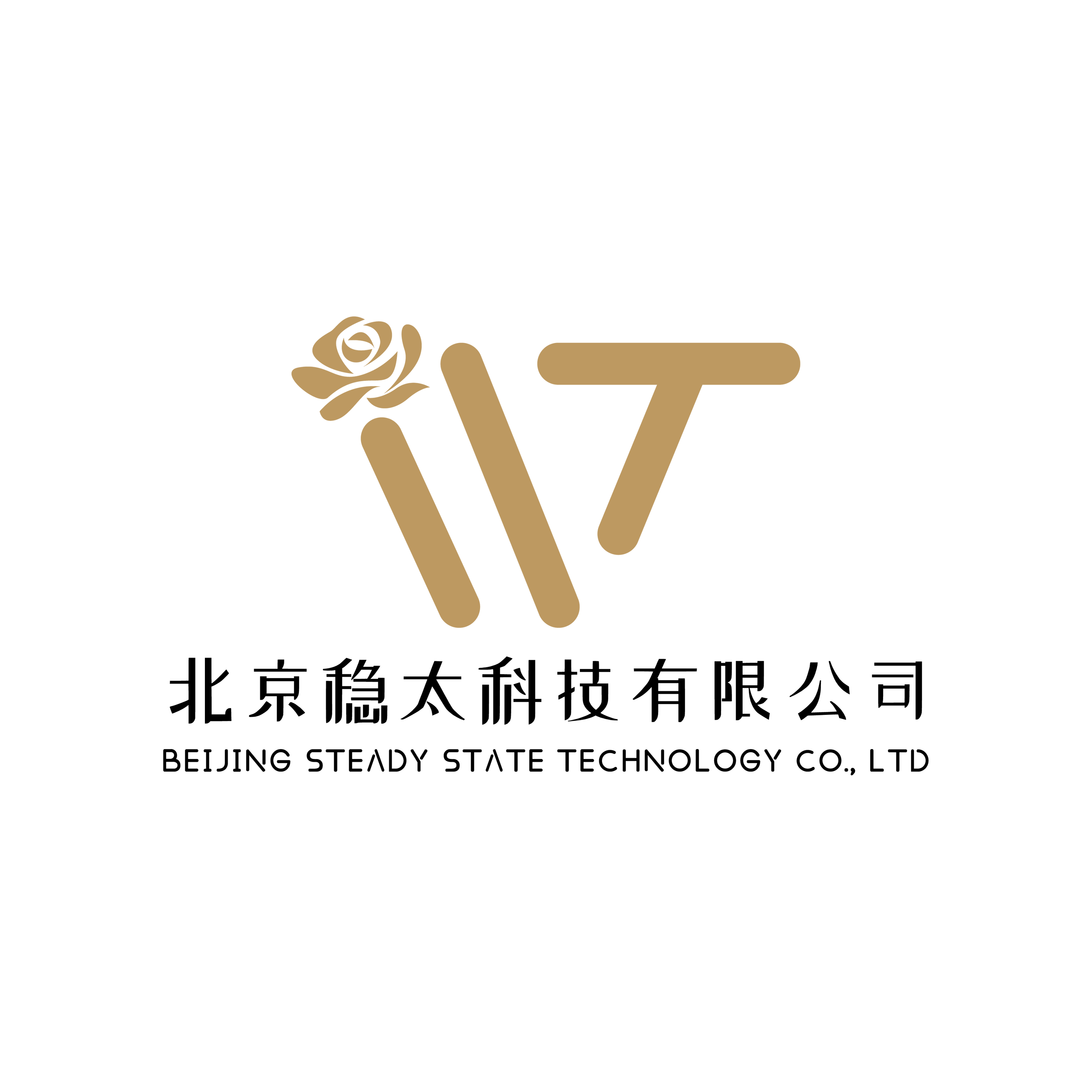 Beijing Wentai Technology Co., Ltd. logo