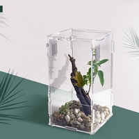 Acrylique Mini Reptile enceinte Réservoir Habitat Transparent Terrariums Avec Verrouillage Loquet Convient Pour Invertébrés serpent rack