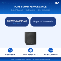 Subwoofer mono haute puissance 15 pouces HG-GS2F04-CWB 300W 8 Ohm Nominales 45Hz-400Hz pour système de sonorisation de scène et de tournée, concert