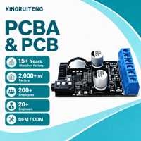 Module PCBA d'amplificateur de puissance audio stéréo sans fil à double canal 25W