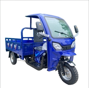 Tricycles motorisés pour <span class=keywords><strong>l</strong></span>'agriculture de carburant de refroidissement par air de 175cc en Chine - Product Image 3