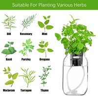 Kit de Jardinage Hydroponique OEM 6 Pièces Écologique au Design Adorable avec Pots en Filet pour Jardinage Intérieur à Domicile