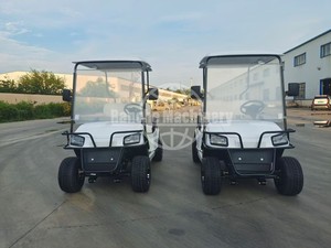 Voiturette de golf personnalisable avec éclairage LED et auvent, service de marquage gratuit, carrosserie durable en ABS pour parcs à thème et locations - Product Image 2