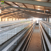 Proyecto de Jaulas para Aves de Corral Rentables y Completas, Jaula Tipo H con Equipo Automático de Alimentación, Recolección de Huevos y Manejo de Estiércol